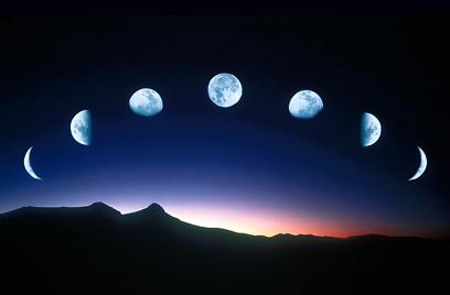 fases lúa